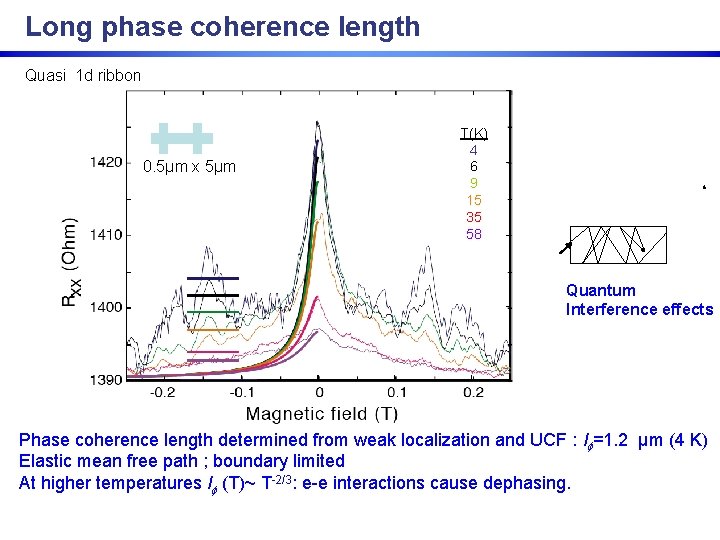 Long phase coherence length Quasi 1 d ribbon 0. 5µm x 5µm T(K) 4