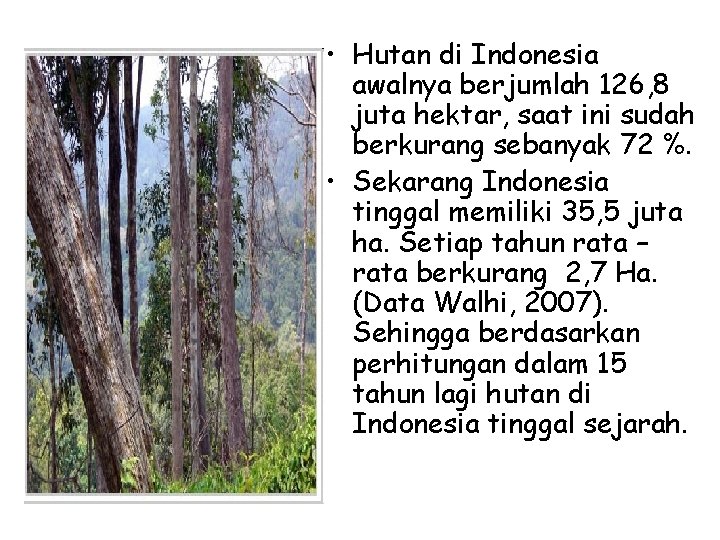  • Hutan di Indonesia awalnya berjumlah 126, 8 juta hektar, saat ini sudah