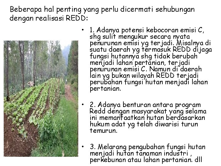 Beberapa hal penting yang perlu dicermati sehubungan dengan realisasi REDD: • 1. Adanya potensi