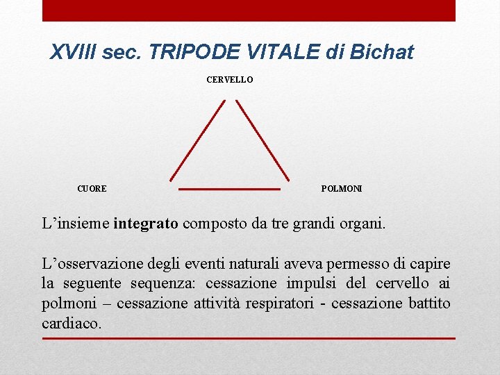 XVIII sec. TRIPODE VITALE di Bichat CERVELLO CUORE POLMONI L’insieme integrato composto da tre