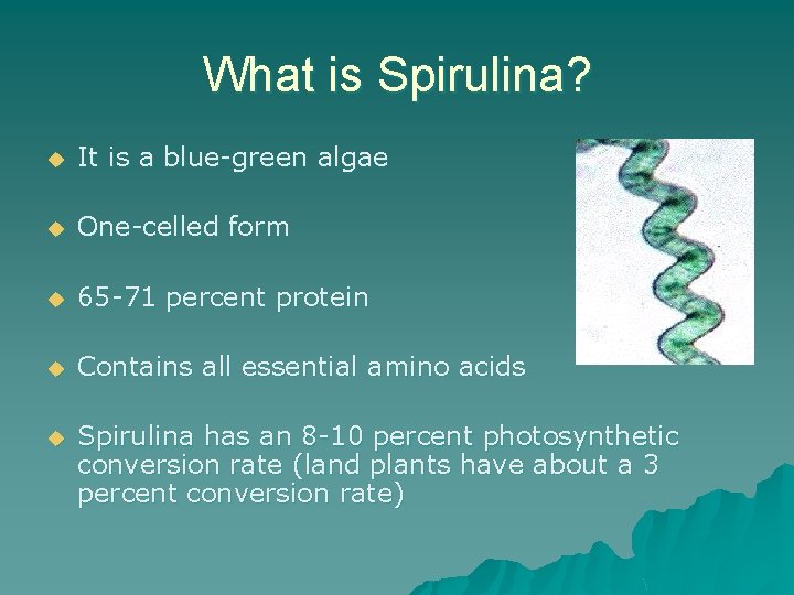 What is Spirulina? u It is a blue-green algae u One-celled form u 65