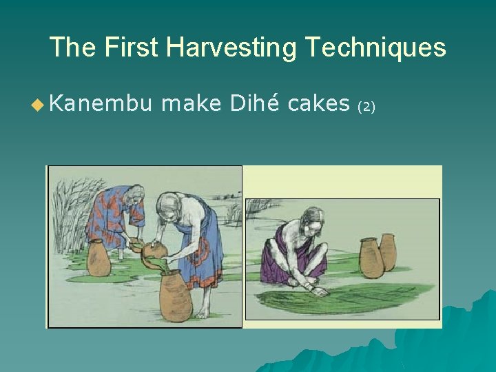 The First Harvesting Techniques u Kanembu make Dihé cakes (2) 