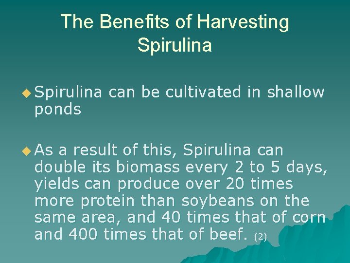 The Benefits of Harvesting Spirulina u Spirulina ponds u As can be cultivated in