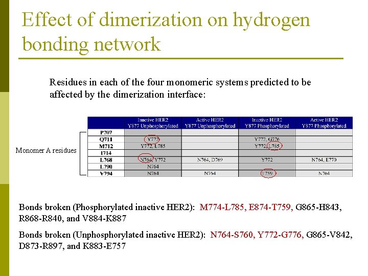 Effect of dimerization on hydrogen bonding network Residues in each of the four monomeric