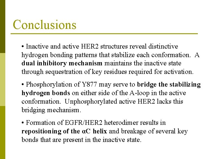 Conclusions • Inactive and active HER 2 structures reveal distinctive hydrogen bonding patterns that