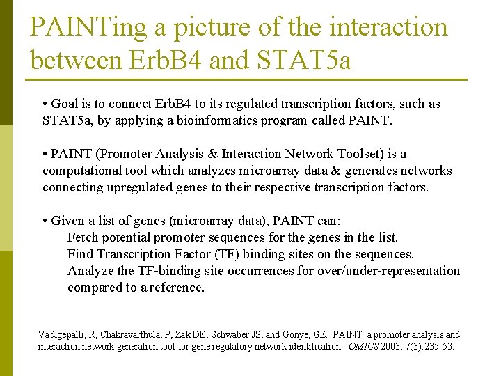 PAINTing a picture of the interaction between Erb. B 4 and STAT 5 a