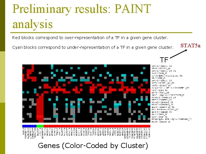 Preliminary results: PAINT analysis Red blocks correspond to over-representation of a TF in a