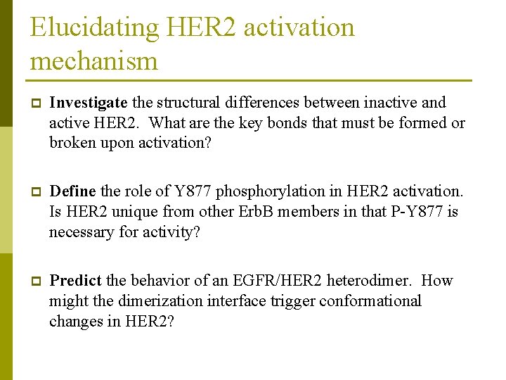 Elucidating HER 2 activation mechanism p Investigate the structural differences between inactive and active