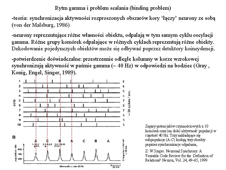 Rytm gamma i problem scalania (binding problem) -teoria: synchronizacja aktywności rozproszonych obszarów kory ‘łączy’