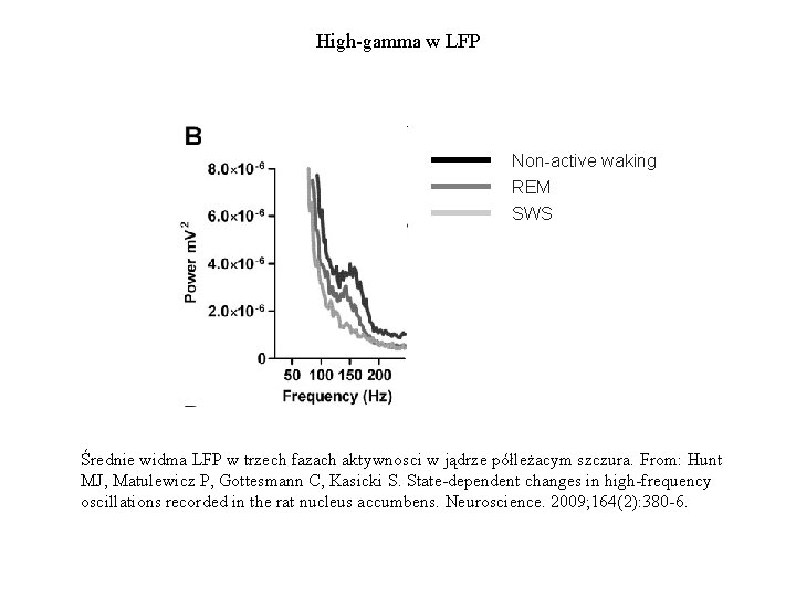 High-gamma w LFP Non-active waking REM SWS Średnie widma LFP w trzech fazach aktywnosci