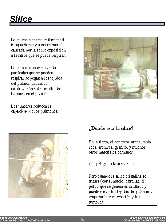Sílice La silicosis es una enfermedad incapacitante y a veces mortal causada por la
