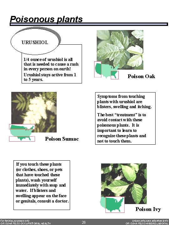 Poisonous plants URUSHIOL 1/4 ounce of urushiol is all that is needed to cause