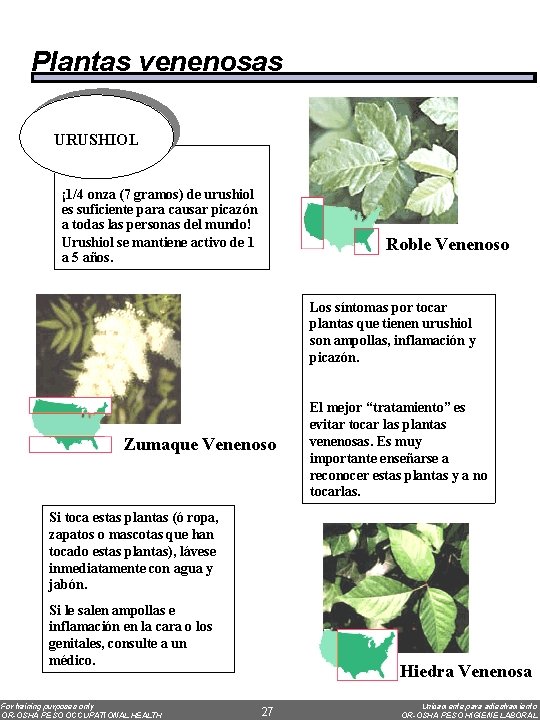 Plantas venenosas URUSHIOL ¡ 1/4 onza (7 gramos) de urushiol es suficiente para causar