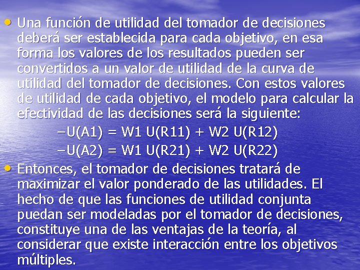  • Una función de utilidad del tomador de decisiones • deberá ser establecida