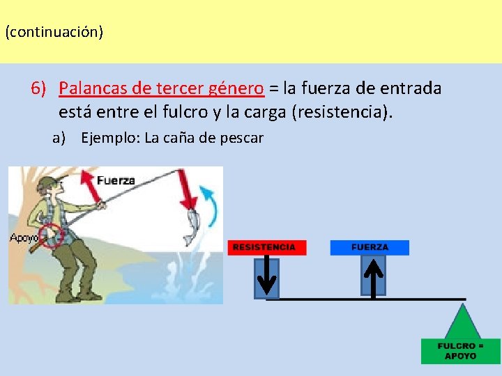 (continuación) 6) Palancas de tercer género = la fuerza de entrada está entre el