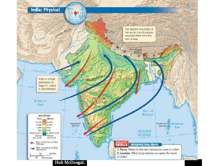 Holt Mc. Dougal, 