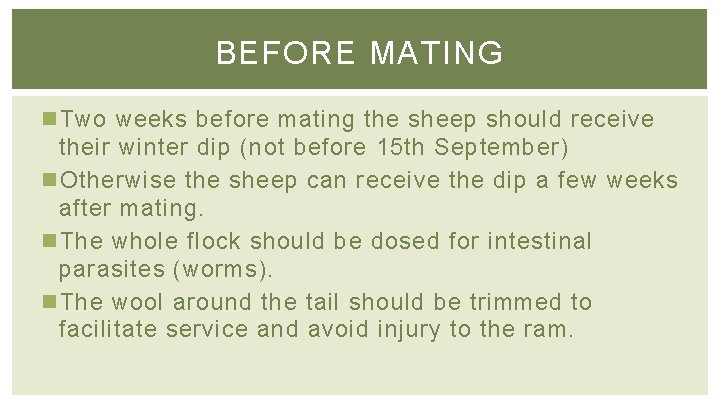 BEFORE MATING n Two weeks before mating the sheep should receive their winter dip