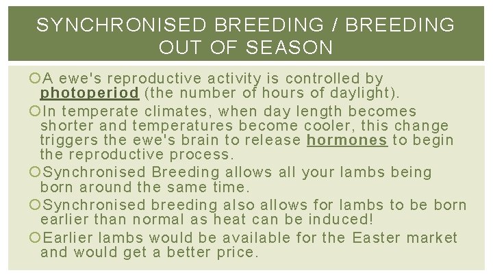 SYNCHRONISED BREEDING / BREEDING OUT OF SEASON A ewe's reproductive activity is controlled by