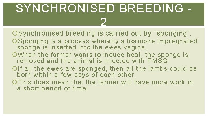 SYNCHRONISED BREEDING 2 Synchronised breeding is carried out by “sponging”. Sponging is a process