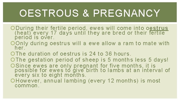 OESTROUS & PREGNANCY During their fertile period, ewes will come into oestrus (heat) every