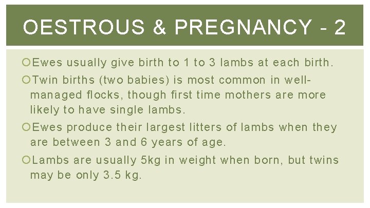 OESTROUS & PREGNANCY - 2 Ewes usually give birth to 1 to 3 lambs