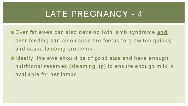 LATE PREGNANCY - 4 n Over fat ewes can also develop twin lamb syndrome