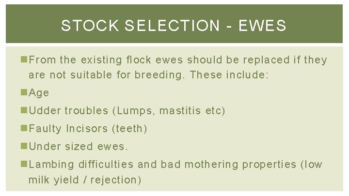 STOCK SELECTION - EWES n From the existing flock ewes should be replaced if