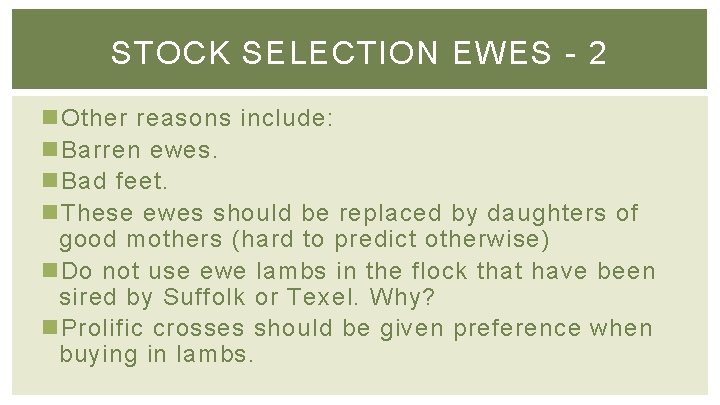 STOCK SELECTION EWES - 2 n Other reasons include: n Barren ewes. n Bad