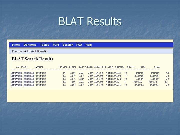 BLAT Results 