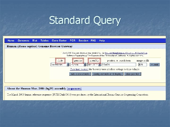 Standard Query 