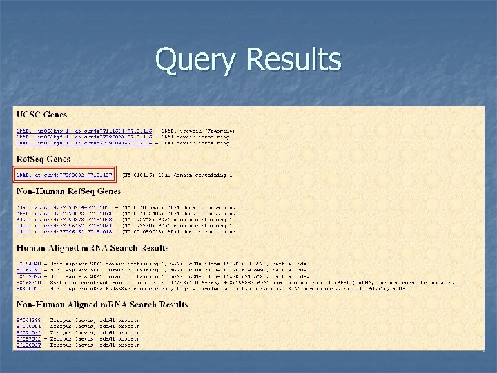 Query Results 