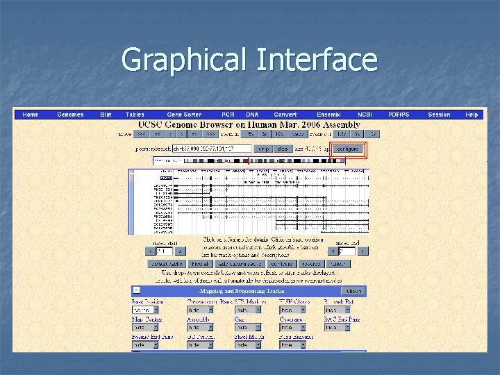 Graphical Interface 