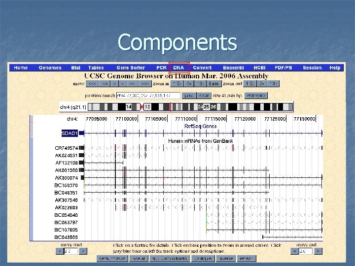 Components 