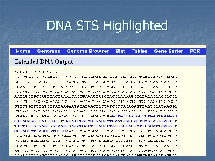 DNA STS Highlighted 