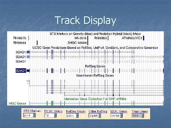 Track Display 