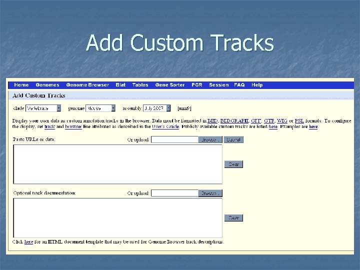 Add Custom Tracks 