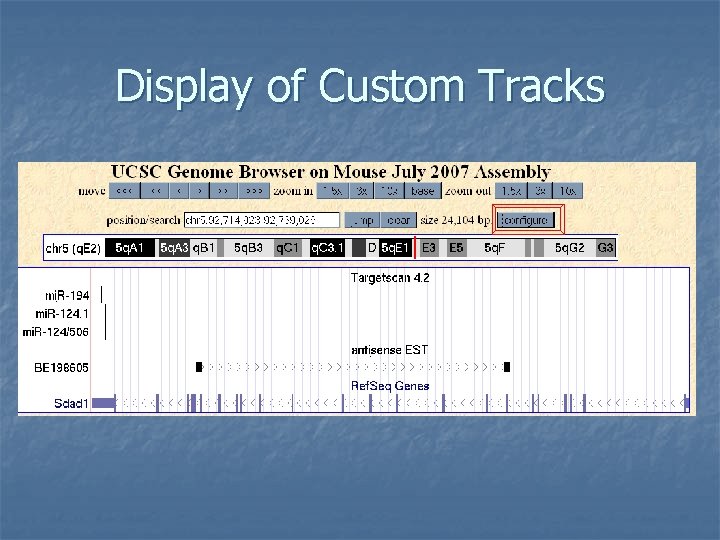 Display of Custom Tracks 