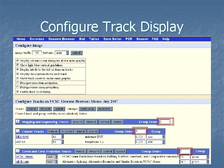 Configure Track Display 