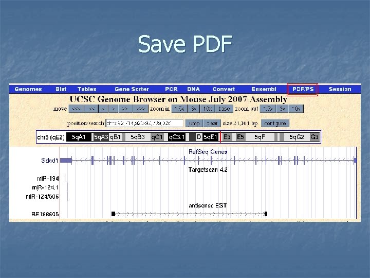 Save PDF 