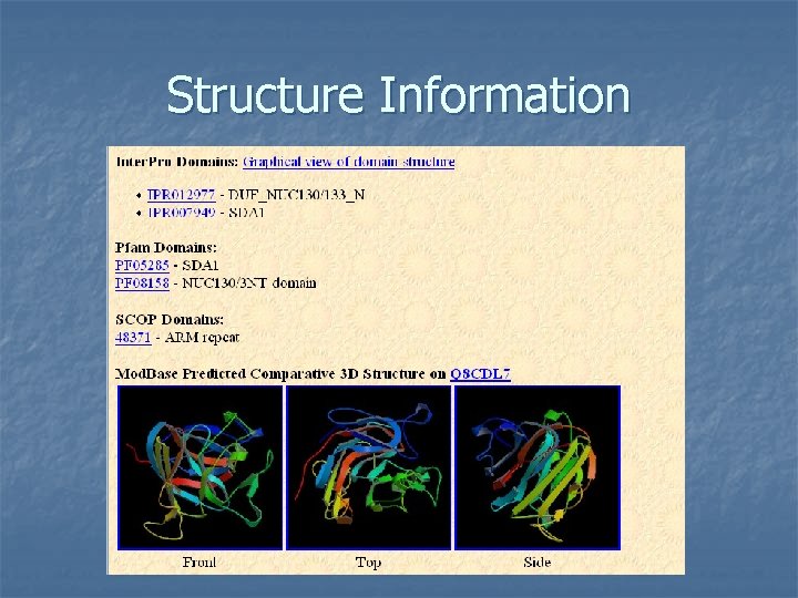 Structure Information 