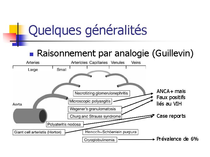 Quelques généralités n Raisonnement par analogie (Guillevin) ANCA+ mais Faux positifs liés au VIH