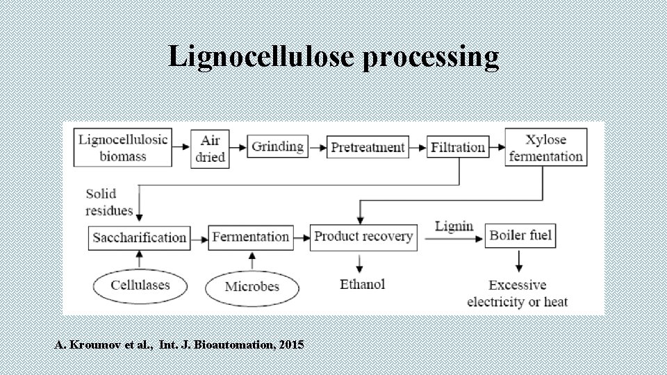 Lignocellulose processing A. Kroumov et al. , Int. J. Bioautomation, 2015 