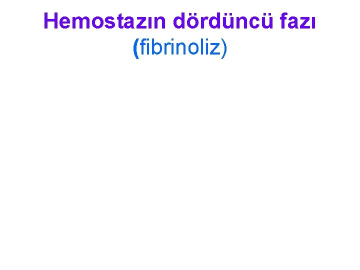 Hemostazın dördüncü fazı (fibrinoliz) 