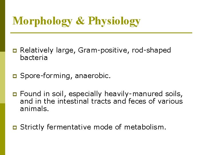 Morphology & Physiology p Relatively large, Gram-positive, rod-shaped bacteria p Spore-forming, anaerobic. p Found