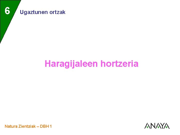 UNIDAD 6 3 Ugaztunen ortzak Haragijaleen hortzeria Natura Zientziak – DBH 1 