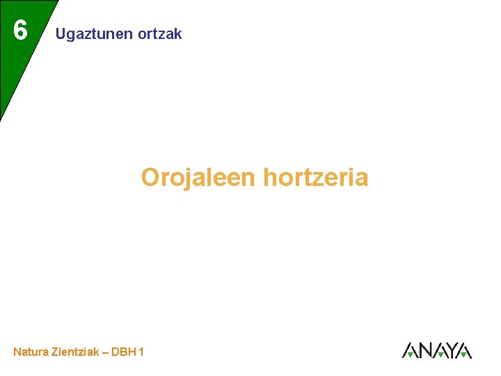 UNIDAD 6 3 Ugaztunen ortzak Orojaleen hortzeria Natura Zientziak – DBH 1 