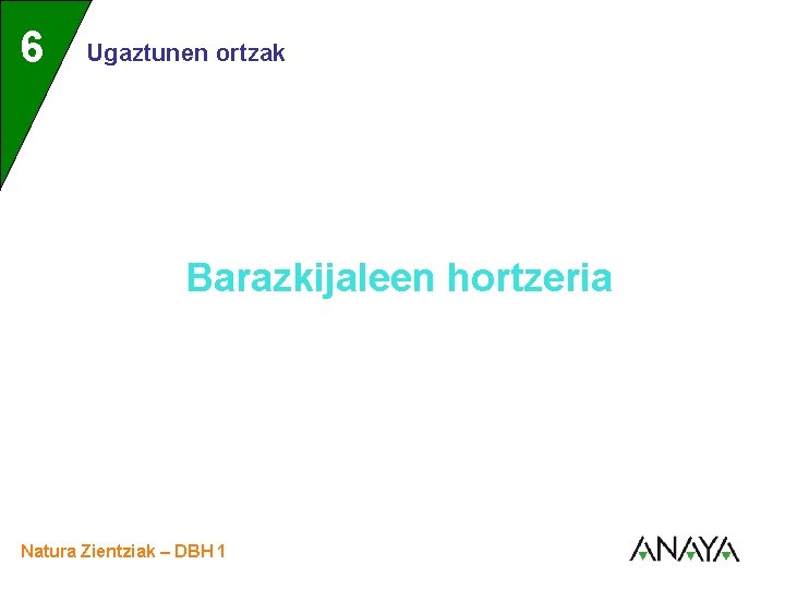 UNIDAD 6 3 Ugaztunen ortzak Barazkijaleen hortzeria Natura Zientziak – DBH 1 