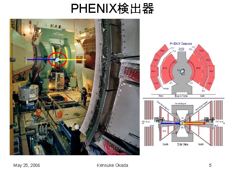 PHENIX検出器 陽子 May 25, 2006 Kensuke Okada 陽子 5 