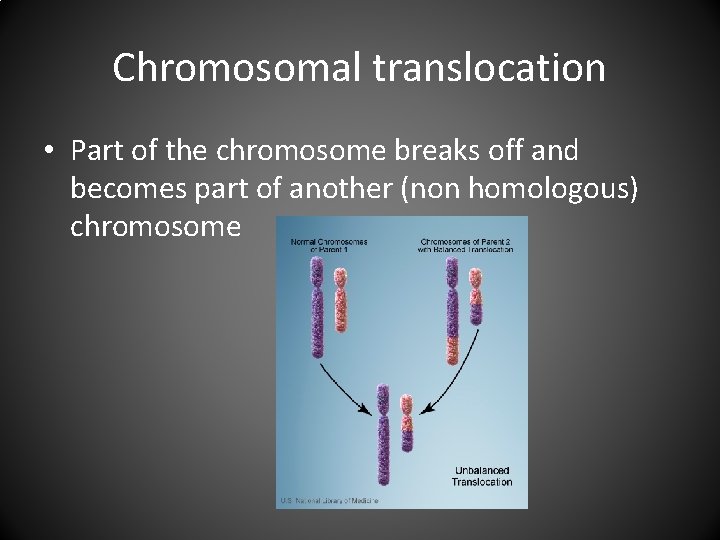 Chromosomal translocation • Part of the chromosome breaks off and becomes part of another