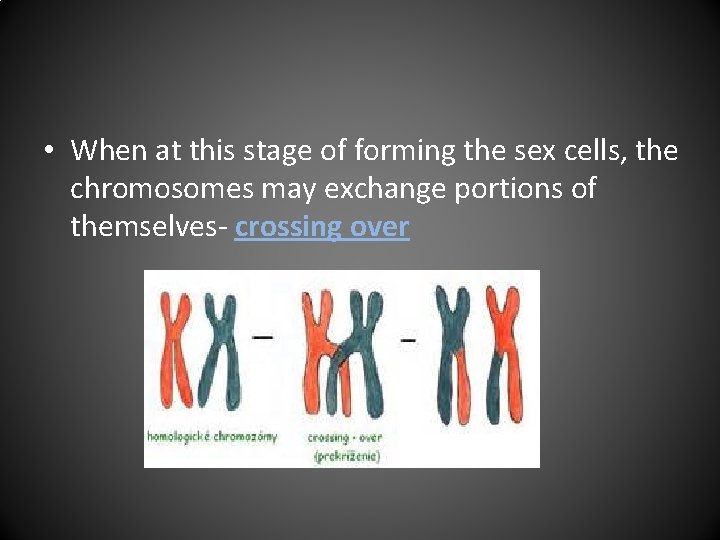  • When at this stage of forming the sex cells, the chromosomes may